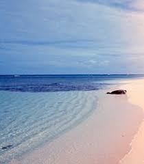 پاورپوینت رودخانه ها و رسوبات 